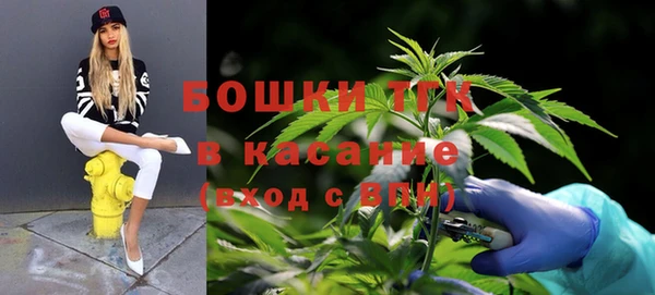ECSTASY Гусиноозёрск