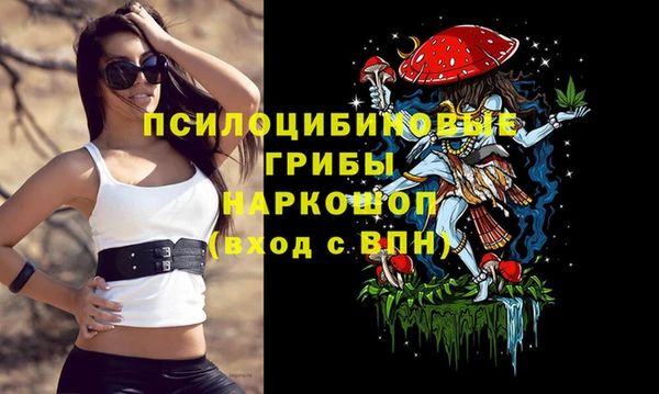 таблы Гусев