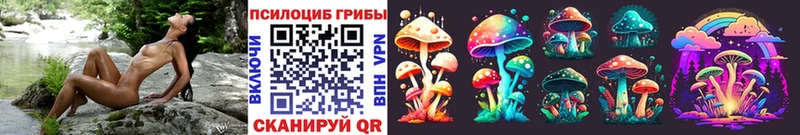 Псилоцибиновые грибы прущие грибы  Купить закладки  Кизел 